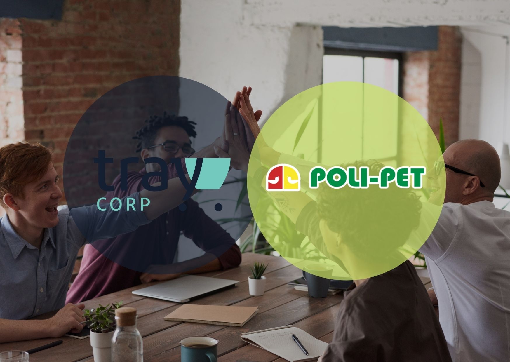 Como a Poli-Pet aumentou 1.108% das vendas com a migração da loja online para a Plataforma Tray Corp